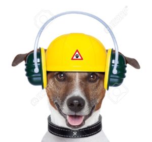 16839352-handyman-dog-work-in-progress-with-jackhammer-stock-photo-dog-hammer